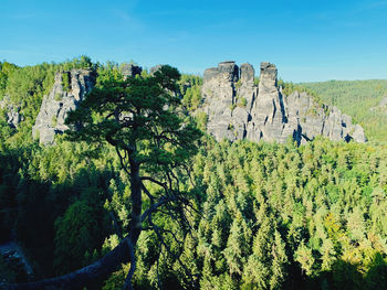 Panoramic view of trees on landscape against sky