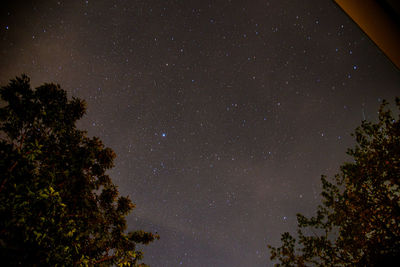 Low angle view of silhouette trees against sky at night