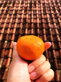 Cropped hand holding orange