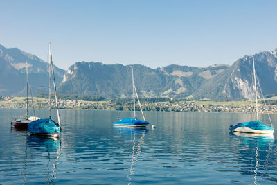 Sailboats in sea against clear blue sky