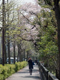 Woman walking on footpath amidst trees against sky