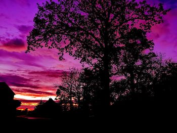 Silhouette trees against sky during sunset