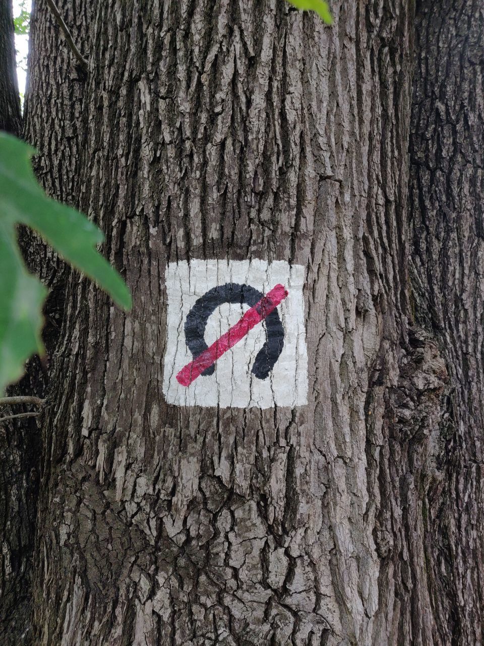 CLOSE-UP OF SIGN ON TREE TRUNK AGAINST PLANTS