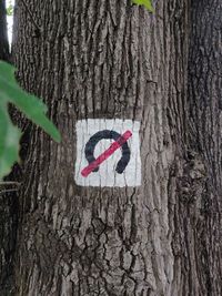 Close-up of sign on tree trunk