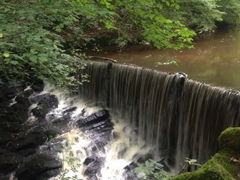 View of waterfall in forest