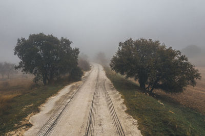 Road amidst trees against sky