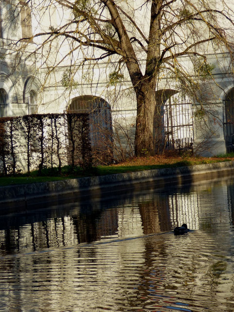 SCENIC VIEW OF LAKE BY BUILDING