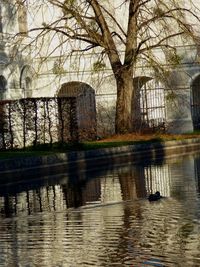 Scenic view of lake by bare trees and building