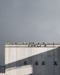 Birds perching on building against sky