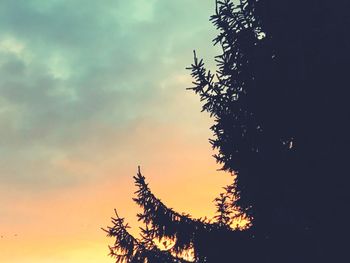 Low angle view of silhouette tree at sunset