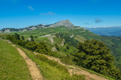 Scenic view of landscape against blue sky