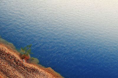 High angle view of beach