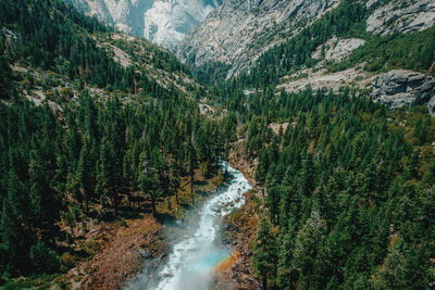 Scenic view of waterfall in forest