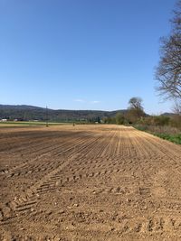 Scenic view of agricultural field against clear blue sky