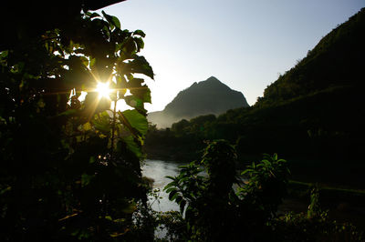 Scenic view of river amidst trees against sky