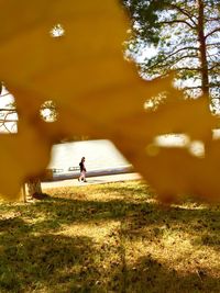 Man walking in park