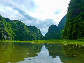 Scenic view of lake by trees against sky