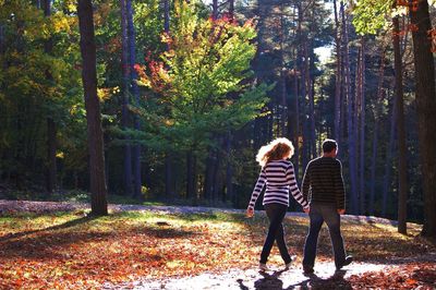 Full length of boy standing in forest