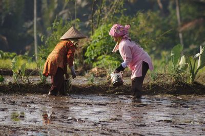 Farmers working on field