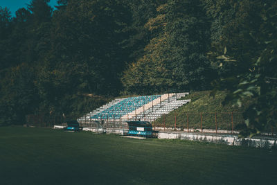 View of trees on field