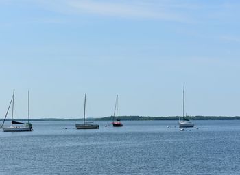 Sailboats sailing on sea against sky