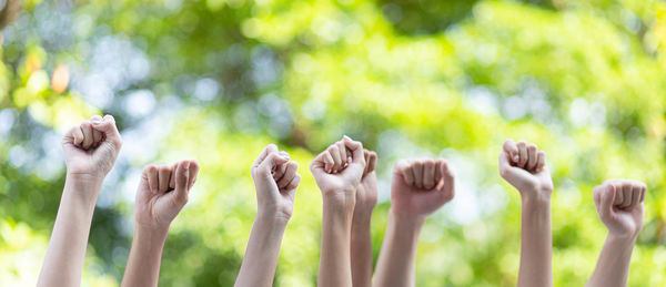 Close-up of hands on plants against blurred background