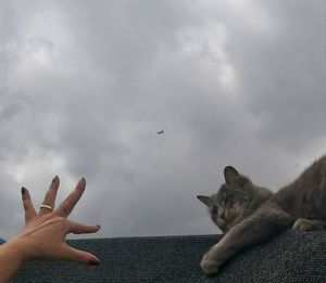 Close-up of hand feeding birds against sky