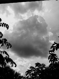Low angle view of silhouette trees against sky