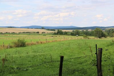 Scenic view of field against cloudy sky