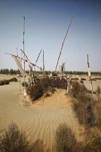 Scenic view of beach against clear sky