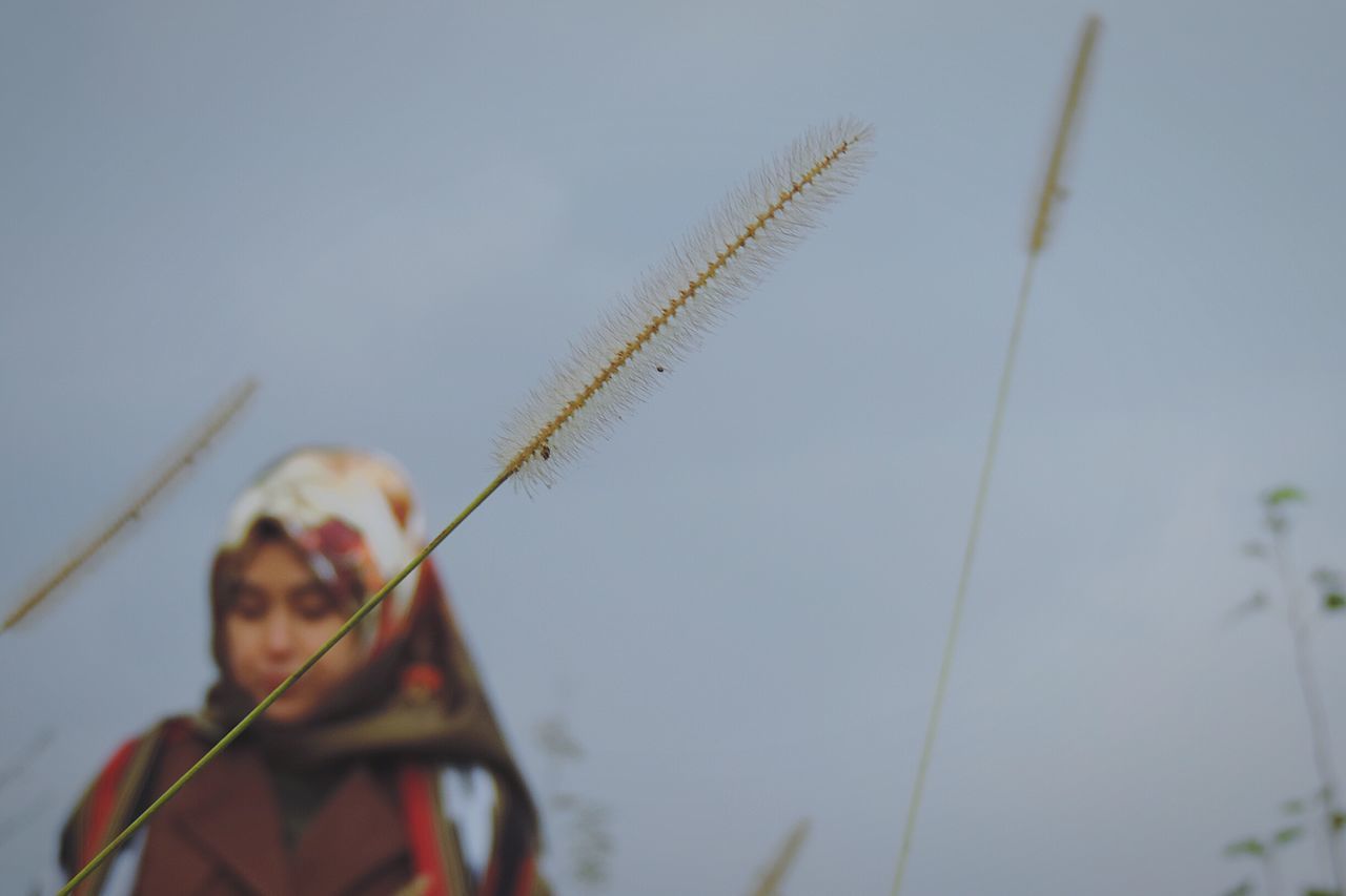 real people, close-up, growth, day, animal themes, nature, sky, insect, outdoors