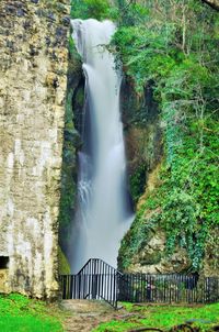 Scenic view of waterfall