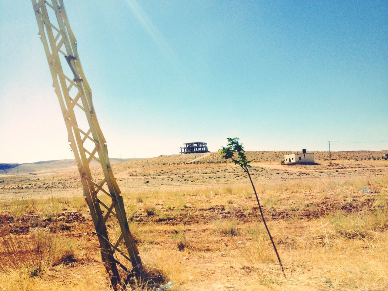 clear sky, field, landscape, rural scene, copy space, agriculture, blue, tranquility, nature, sunlight, tranquil scene, farm, grass, day, growth, no people, plant, hay, desert, outdoors