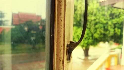 Close-up of bird against window