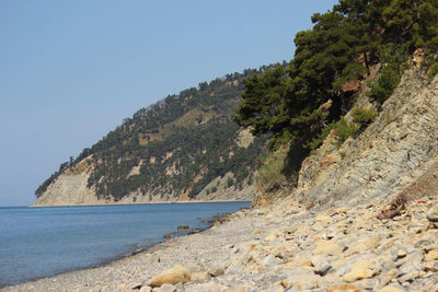 Scenic view of sea against clear sky