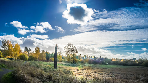 Scenic view of field against sky