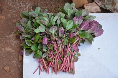 High angle view of flowers on table