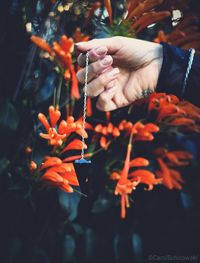 Cropped hand holding pendulum by orange flowers