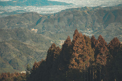 High angle view of trees and mountains