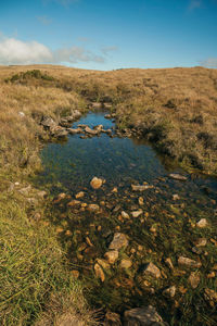 Creek with stones going through hills on rural lowlands called pampas near cambara do sul. brazil.