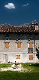 View of a horse in a building