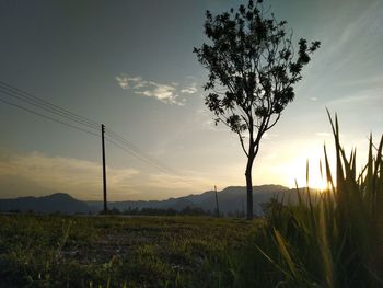 Scenic view of field against sky during sunset