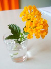 Close-up of flower vase on table