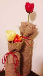 Close-up of flowers in vase