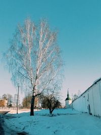 winter