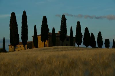 Tuscany villas with cipresses