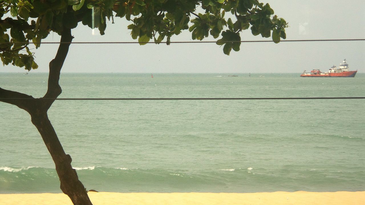 sea, water, horizon over water, beach, tranquility, tranquil scene, tree, shore, scenics, nature, beauty in nature, sand, clear sky, sky, idyllic, day, outdoors, branch, calm, rippled