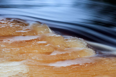 Close-up of ice cream in water