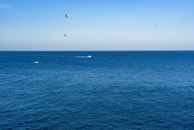 Scenic view of sea against clear blue sky
