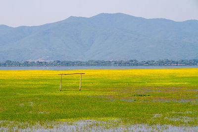 Scenic view of field against mountains